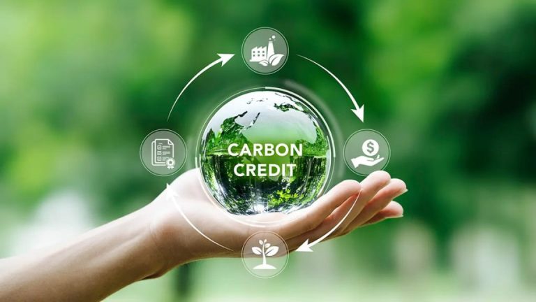Expertise 1 What Is The Carbon Footprint? Reducing Carbon Footprint In Manufacturing Plants
